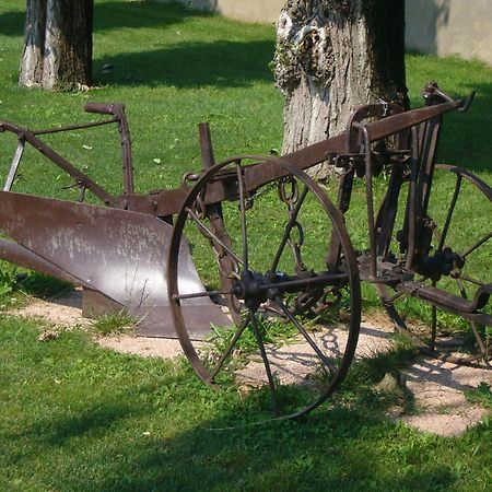 Agriturismo Le Cipressine Meolo Екстериор снимка