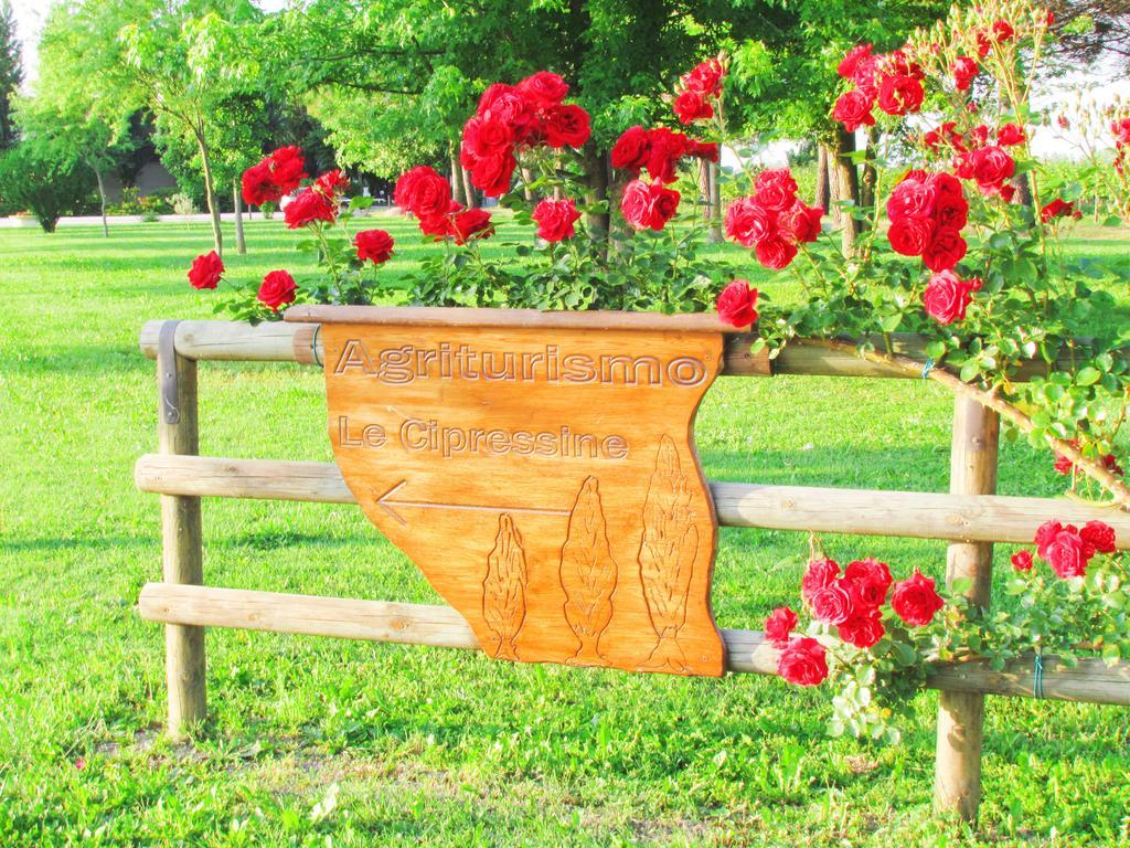 Agriturismo Le Cipressine Meolo Екстериор снимка