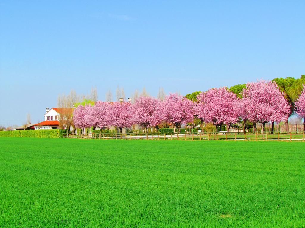 Agriturismo Le Cipressine Meolo Екстериор снимка