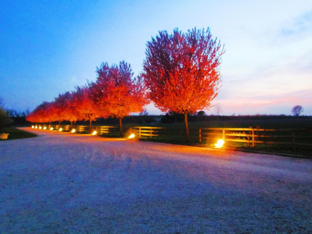 Agriturismo Le Cipressine Meolo Екстериор снимка