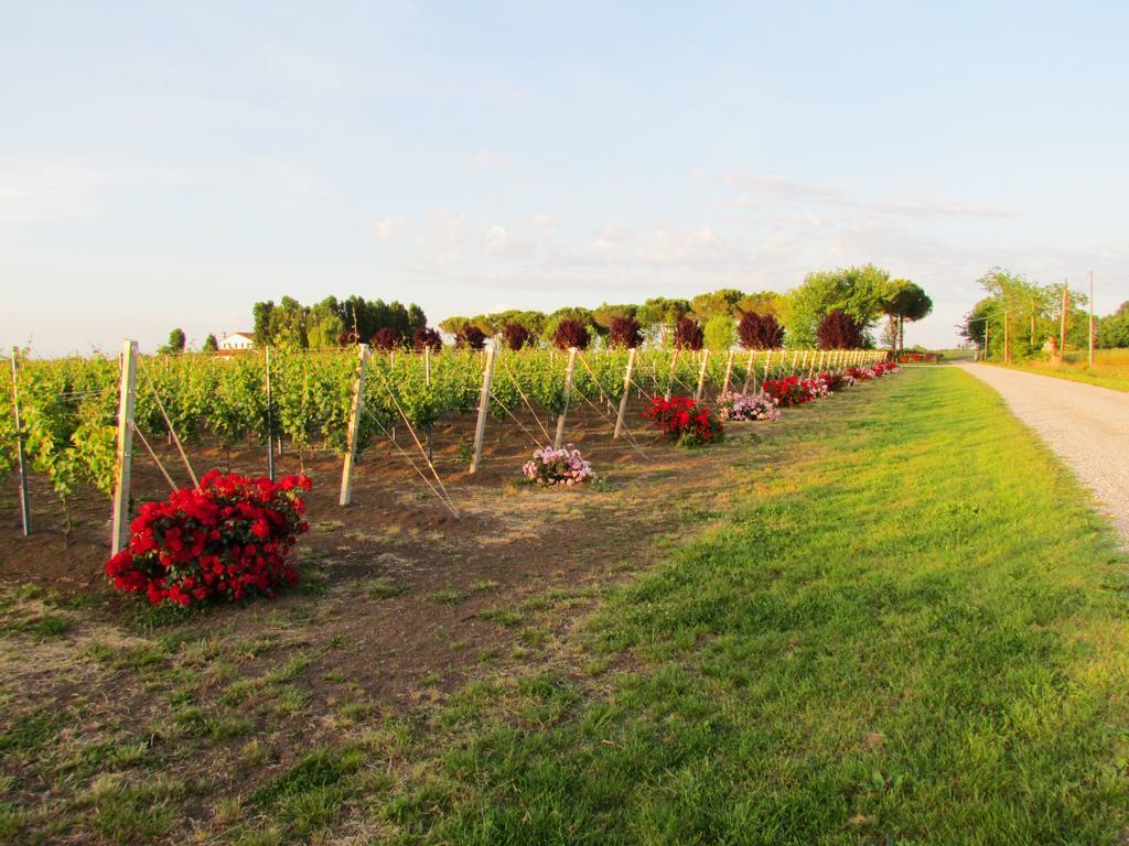 Agriturismo Le Cipressine Meolo Екстериор снимка