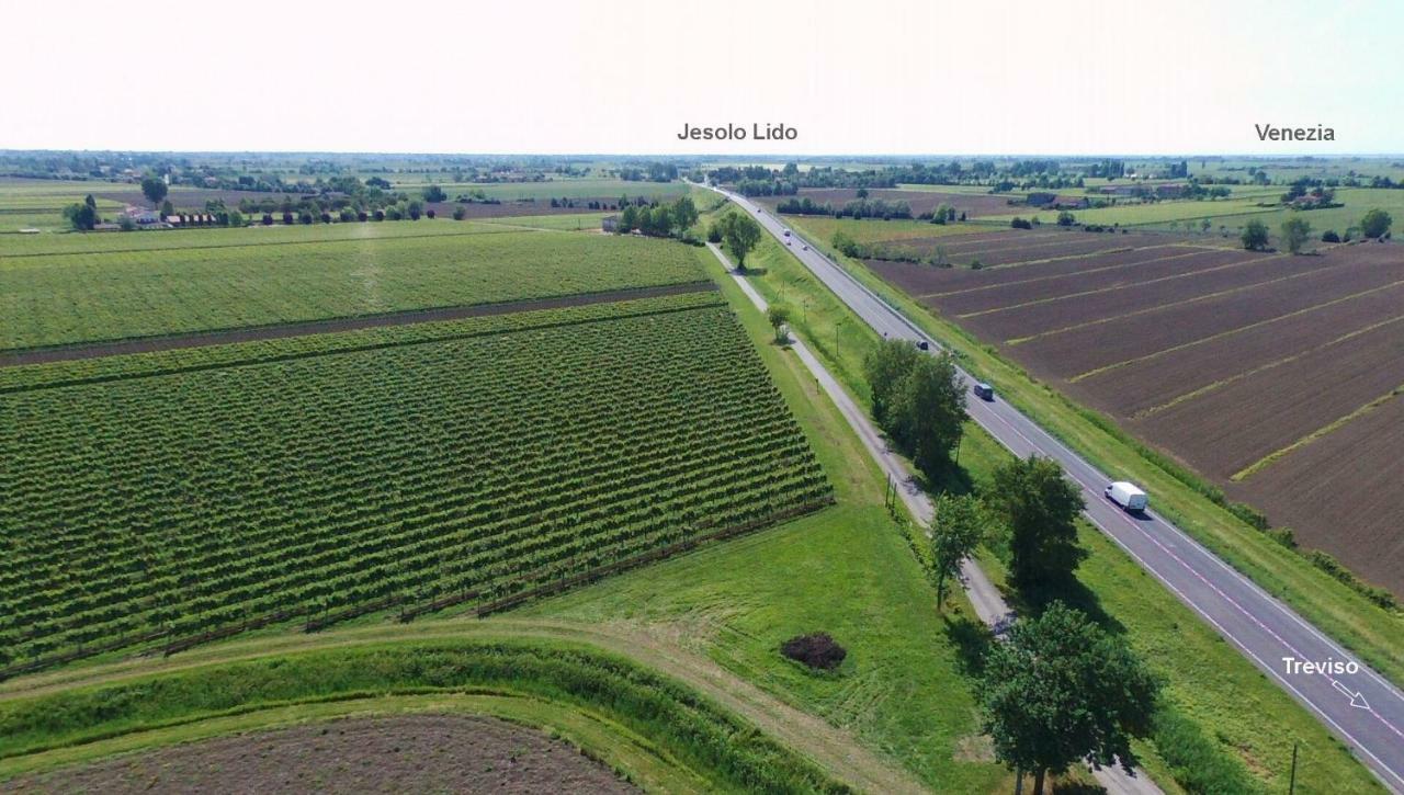 Agriturismo Le Cipressine Meolo Екстериор снимка